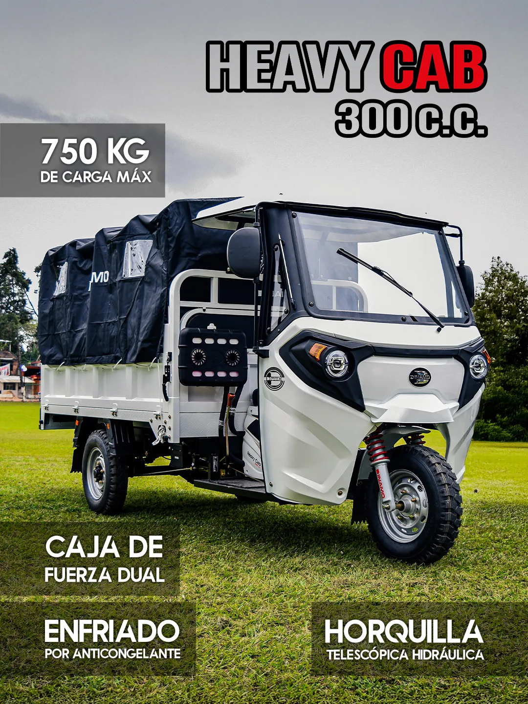 Heavy Cab 300 2